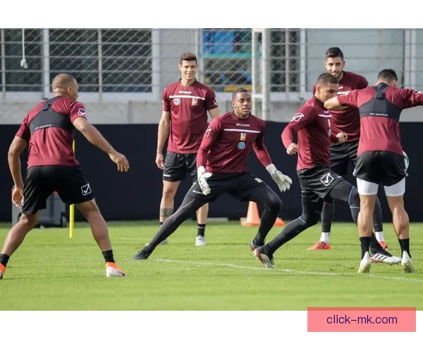 以美洲杯赛场VAR判罚争议为中心的裁判公信力与足球公平性之辩